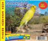 Belga Campainha - Sons P�ssaros Brasil